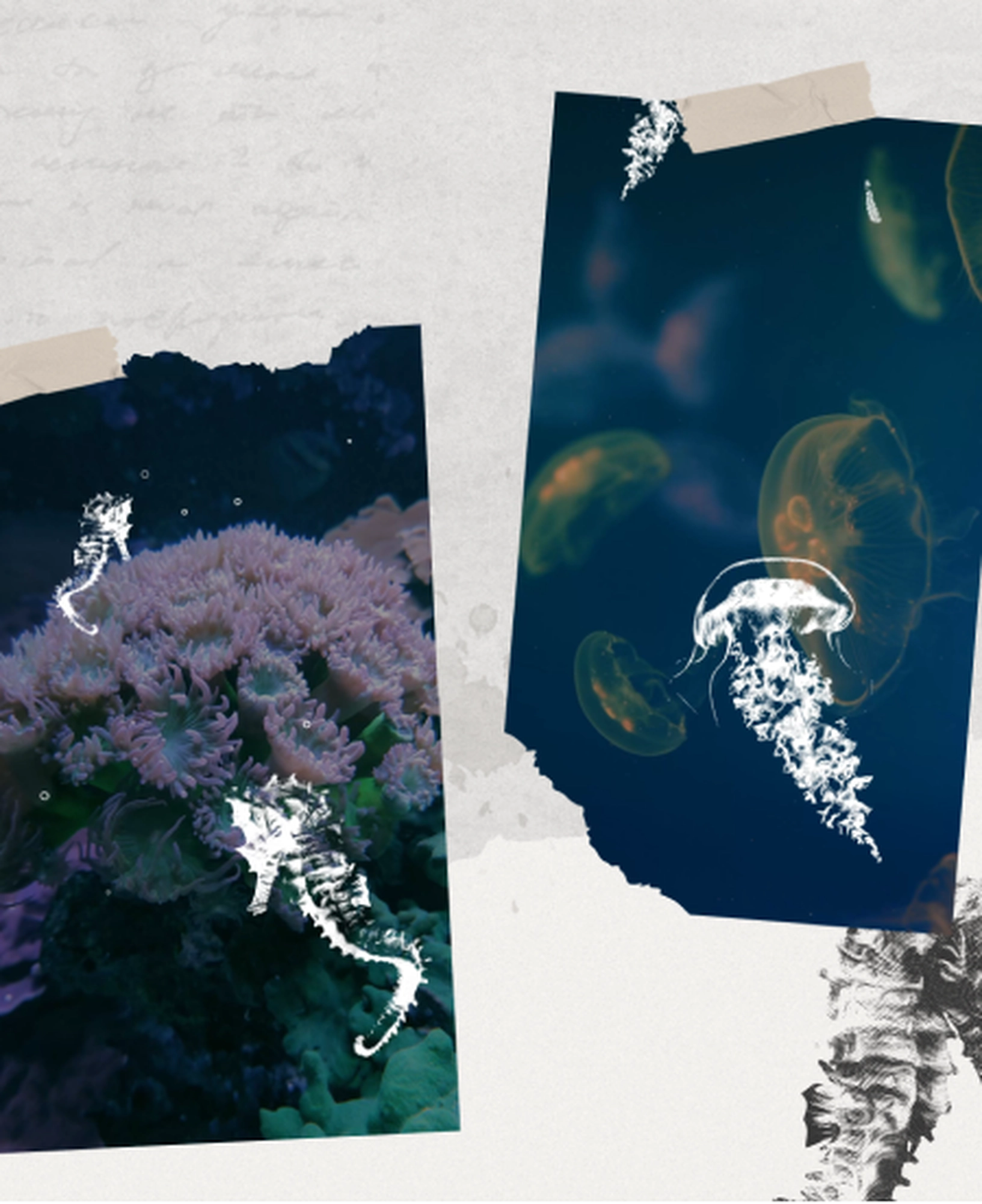 Webisland2023-slider-1