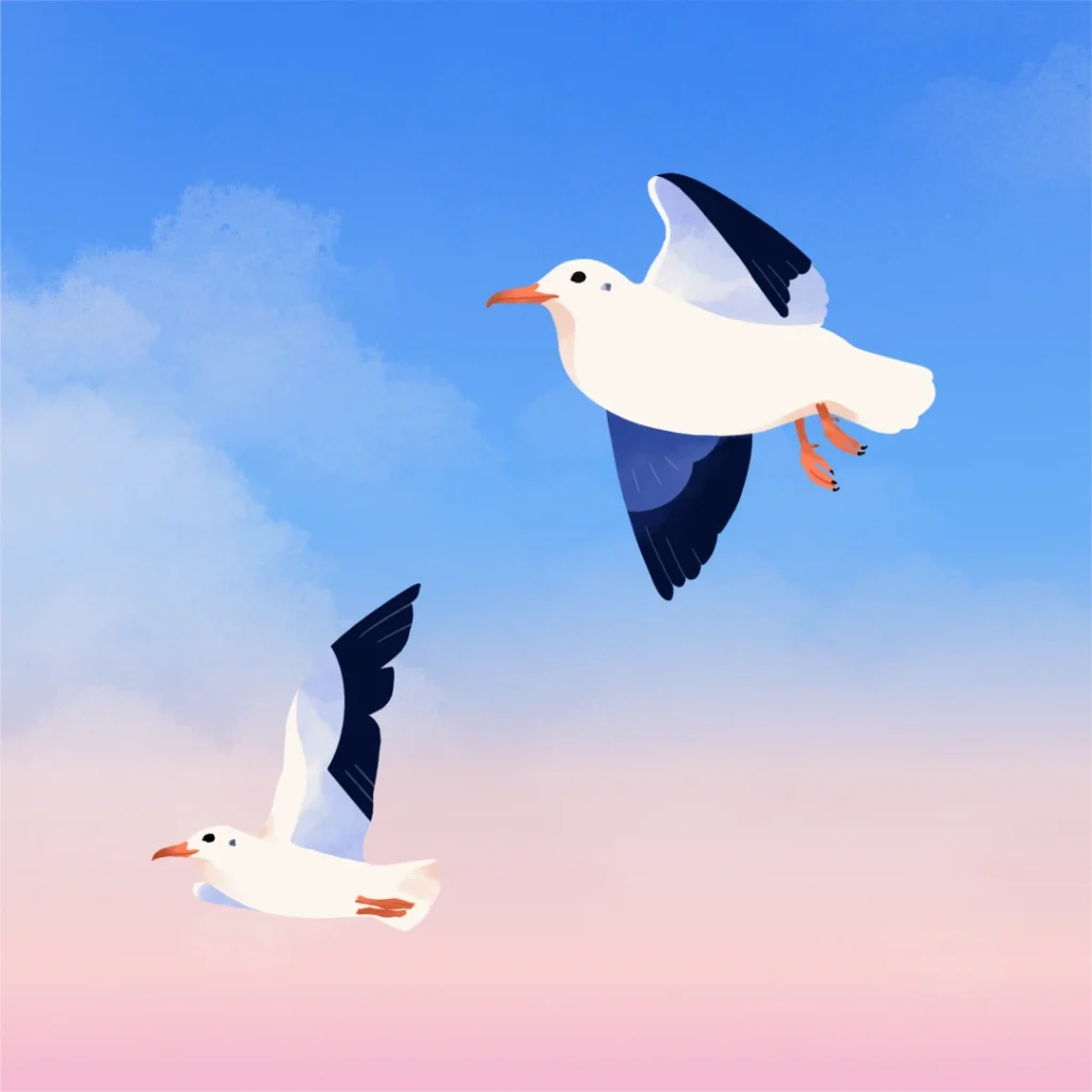 mouettes