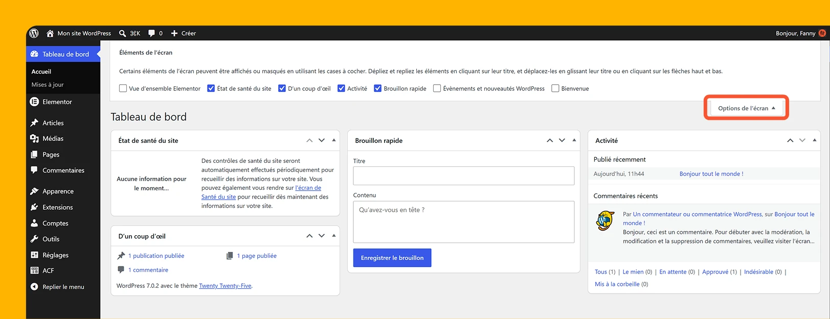 Tableau de bord WordPress avec le panneau « Options de l'écran » mis en évidence en haut à droite